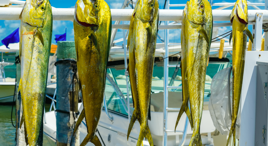 The Hottest Florida Keys Fishing Spots this Summer