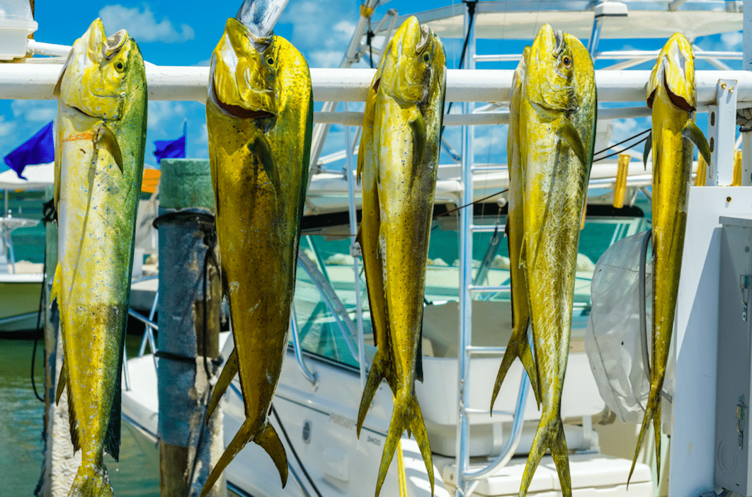 The Hottest Florida Keys Fishing Spots this Summer | Boatsetter Blog