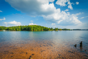 Lake Norman Fishing Guide