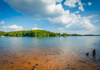 Lake Norman Fishing Guide