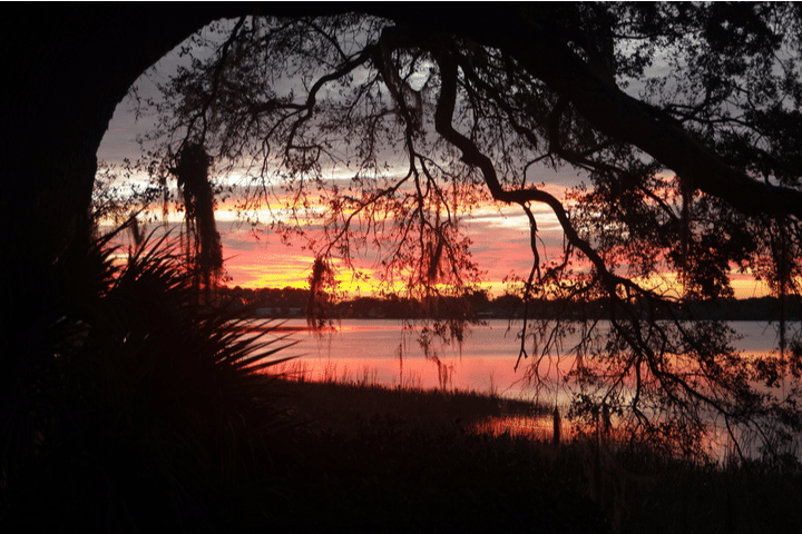 Lake Hartridge boat rentals