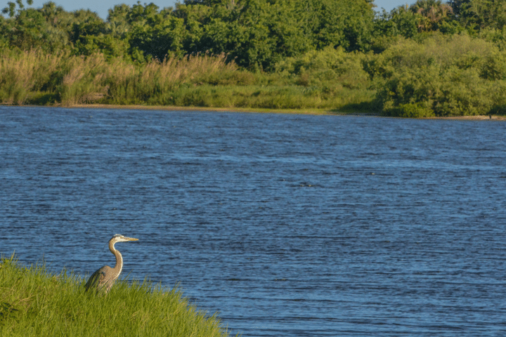 Lake Okeechobee boat rentals