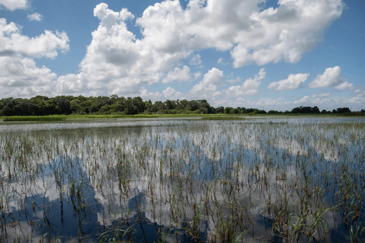 Lake Tohopekaliga boat rentals