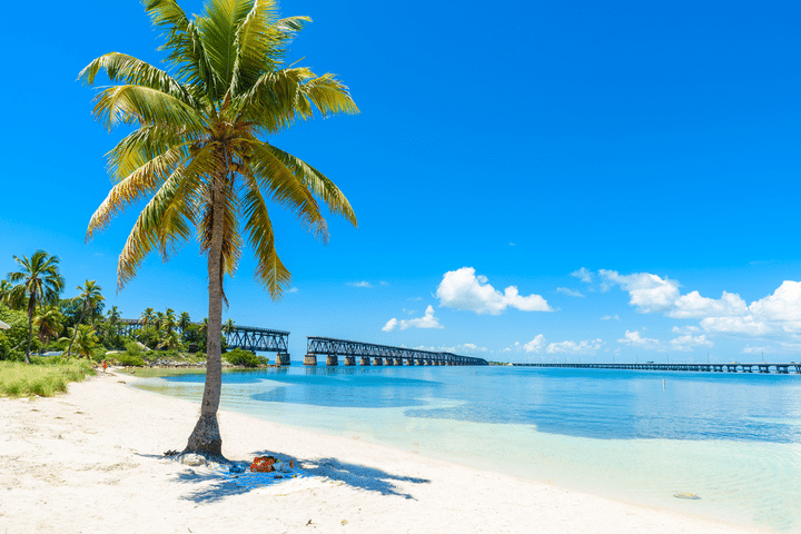 Bahia Honda State Park snorkeling