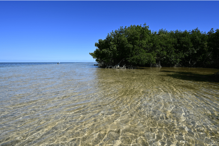 Bear Cut Sandbar