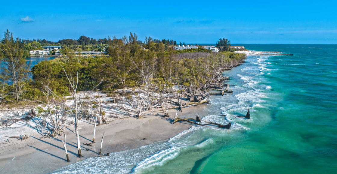 Tampa bay boating guide