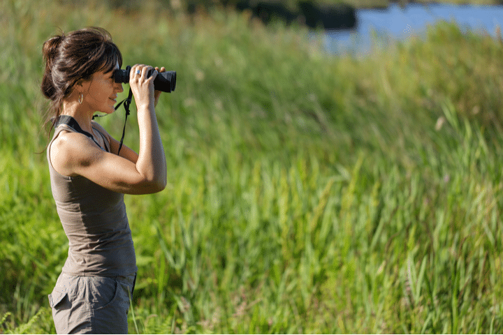 bird watching shell key