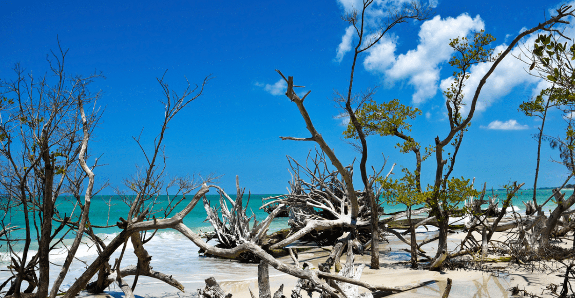 Beer Can Island, Tampa- Boating Guide for Longboat Key