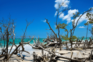 Beer Can Island, Tampa- Boating Guide for Longboat Key