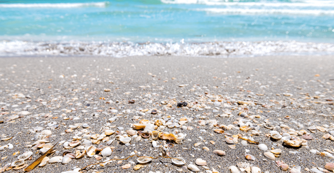 Best Beaches on Sanibel Island to Explore by Boat