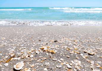 Best Beaches on Sanibel Island to Explore by Boat