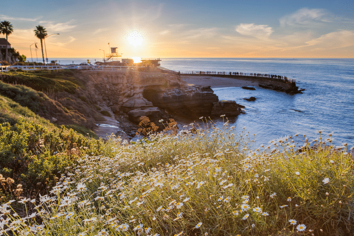 La Jolla Cove boat rental