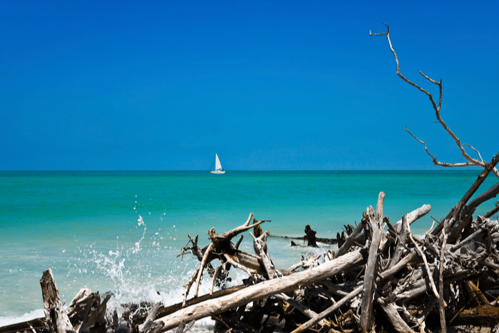 how to get to beer can island