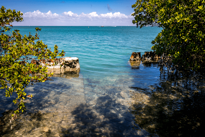 biscayne bay miami waterkeeper