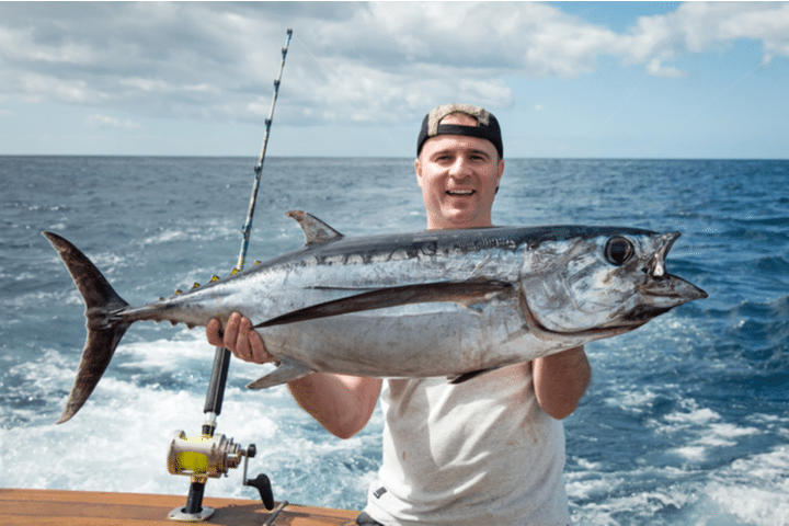 catching bluefin tuna