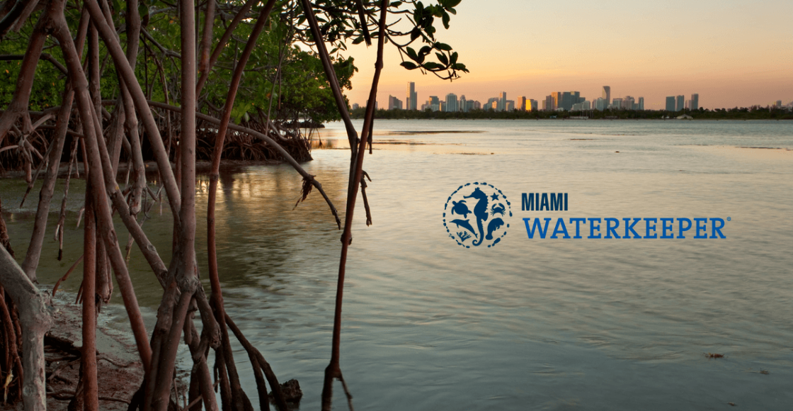 miami waterkeeper