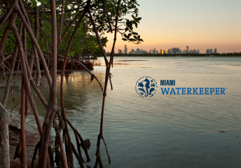 miami waterkeeper