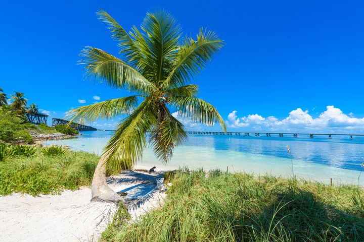 Bahia Honda State Park key west