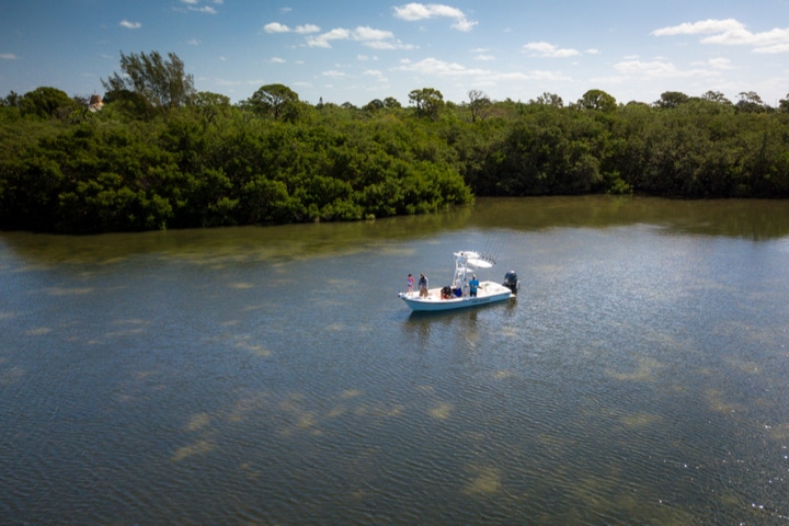 Sarasota Fishing