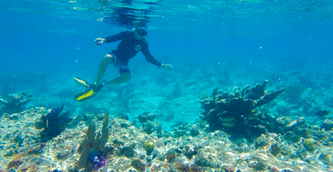 Snorkeling in Naples FL