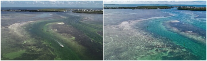 boaters be conscious of marine habitats