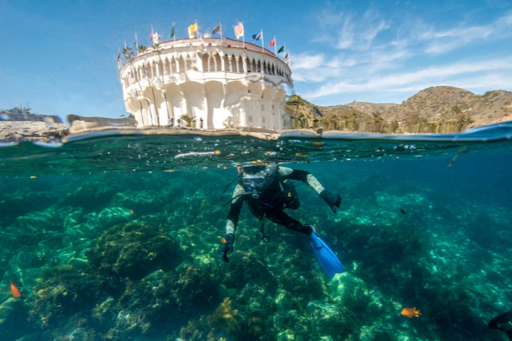 Scuba diving catalina island