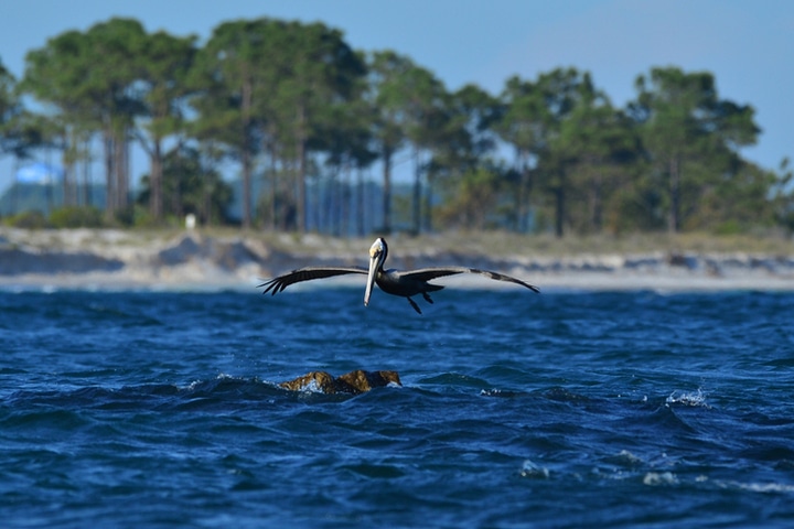 St Andrews State Park