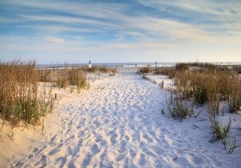 Best Beaches in Charleston, South Carolina