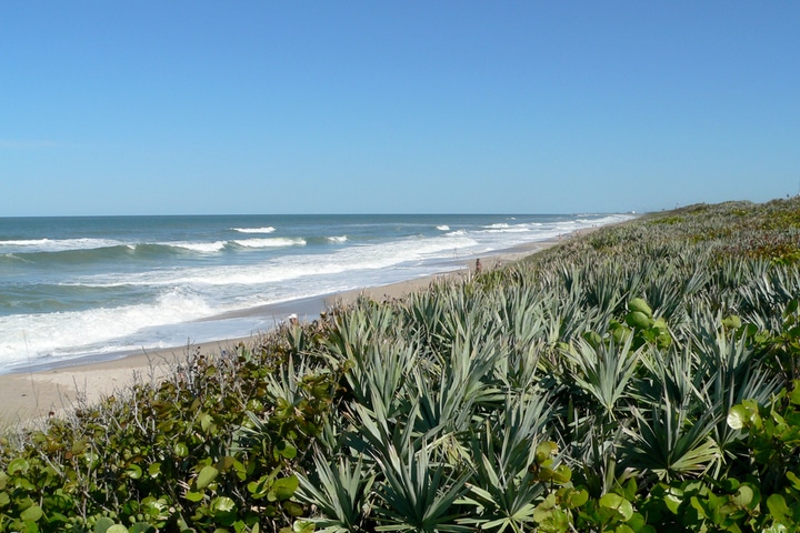 Playalinda Beach