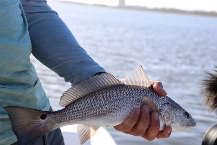 Best fishing spots in Charleston, SC.