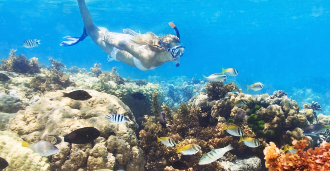 Snorkeling spots in Miami