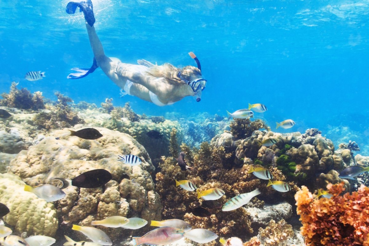 Snorkeling in Miami Best Spots to Visit (Explore Local Coral Reef)