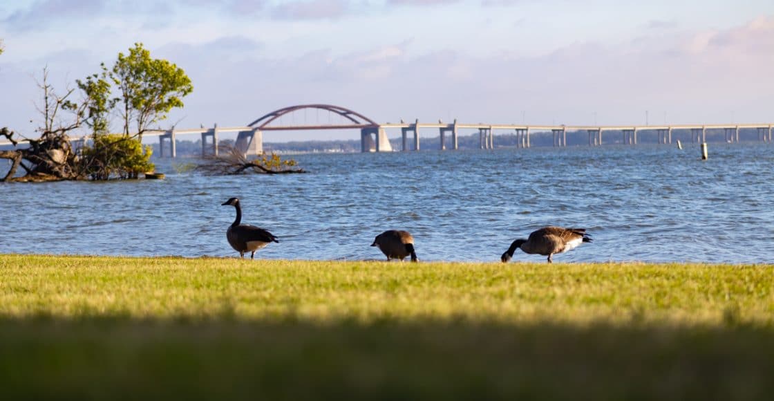 Lake Lewisville, Texas.