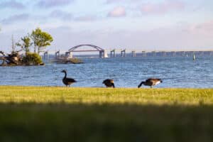 Lake Lewisville, Texas.