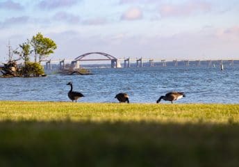 Lake Lewisville, Texas.