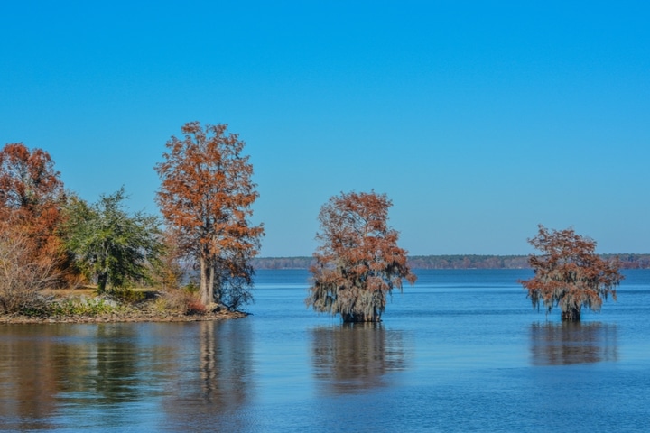 Lake Marion in South Carolina.