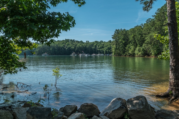 swimming lake lanier