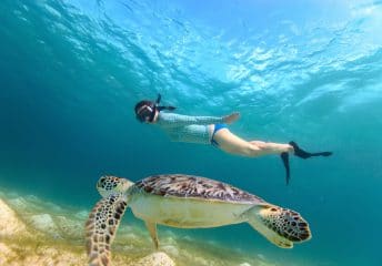 Snorkeling Fort Myers