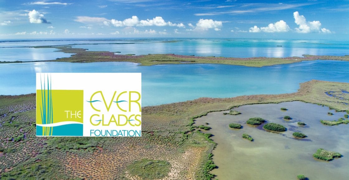 The Everglades Foundation.