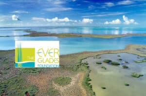 The Everglades Foundation.