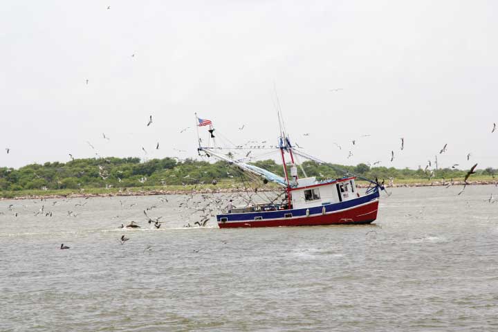 Fishing boat in Galveston Bay.