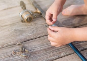 how to bait a hook with shrimp