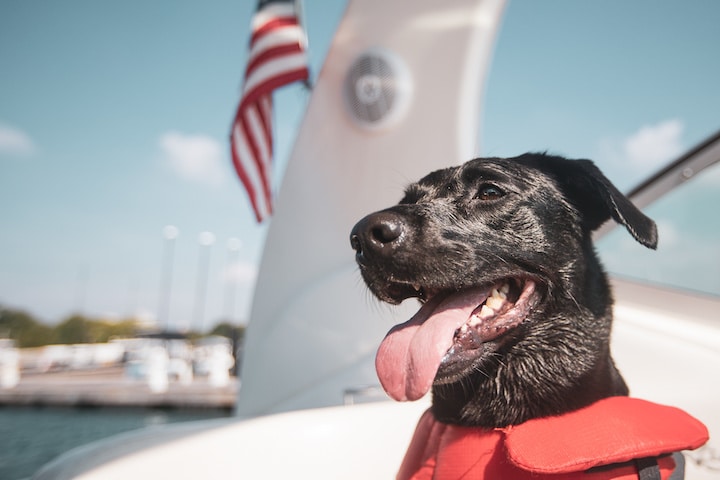 Safe boating tips for the fourth of July.