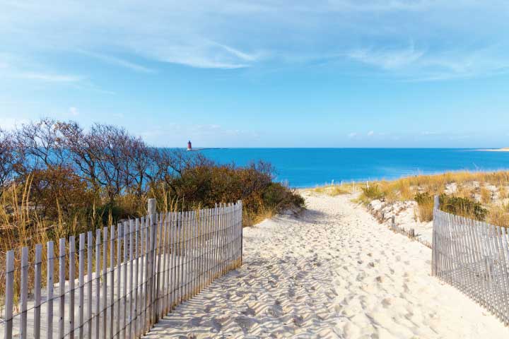 Lewes Beach.