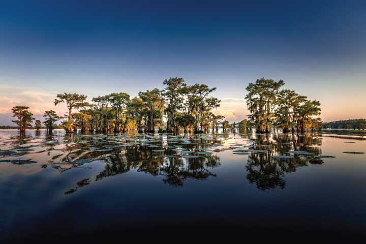 Caddo Lake, Texas.