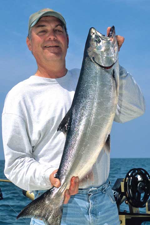 Lake Michigan Salmon.