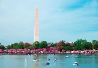 Romantic Boat Rides in Washington, D.C.