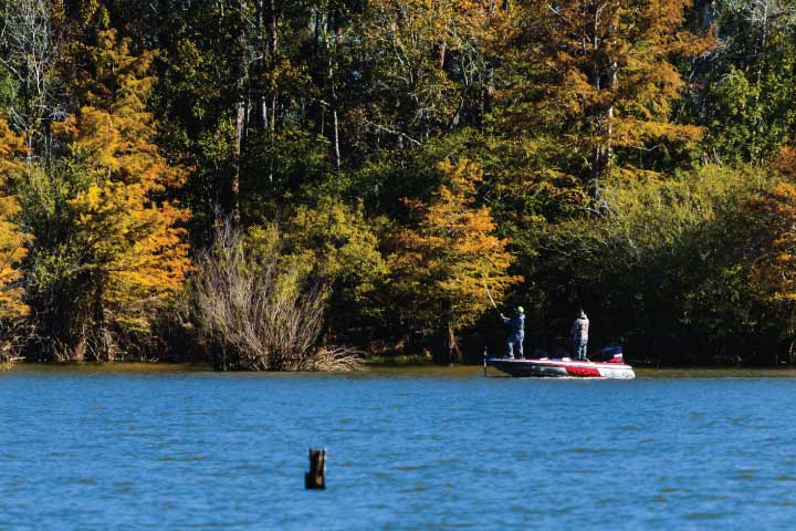 Sam Rayburn Reservoir, Texas.