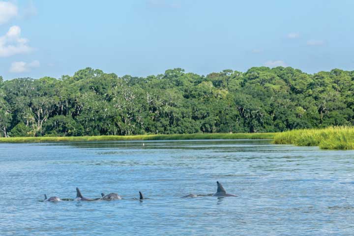 Savannah River, Georgia.