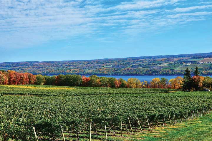 Seneca Lake, New York.